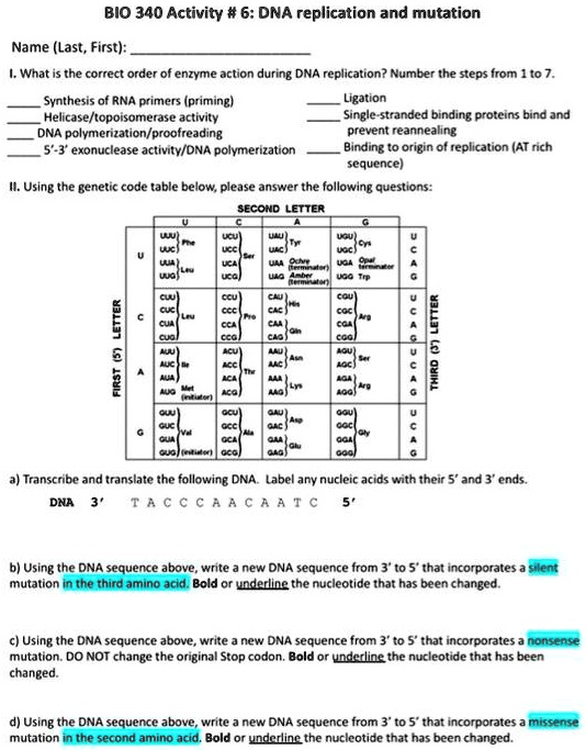 SOLVED: BIO340 Activity #6: DNA Replication and Mutation Name (Last ...