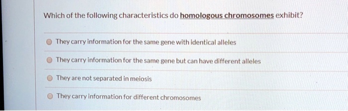 Solved:which Of The Following Characteristics Do Homologous Chromosomes  Exhibit? They Carry Information For The Same Gene With Identical Alleles  They Carry Information For The Same Gene But Can Have Different Alleles They Solved:which Of The Following Characteristics Do Homologous Chromosomes  Exhibit? They Carry Information For The Same Gene With Identical Alleles  They Carry Information For The Same Gene But Can Have Different Alleles They
