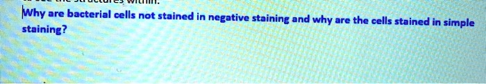 Why are bacterial cells not stained in negative staining and why are the cells stained in simple staining?