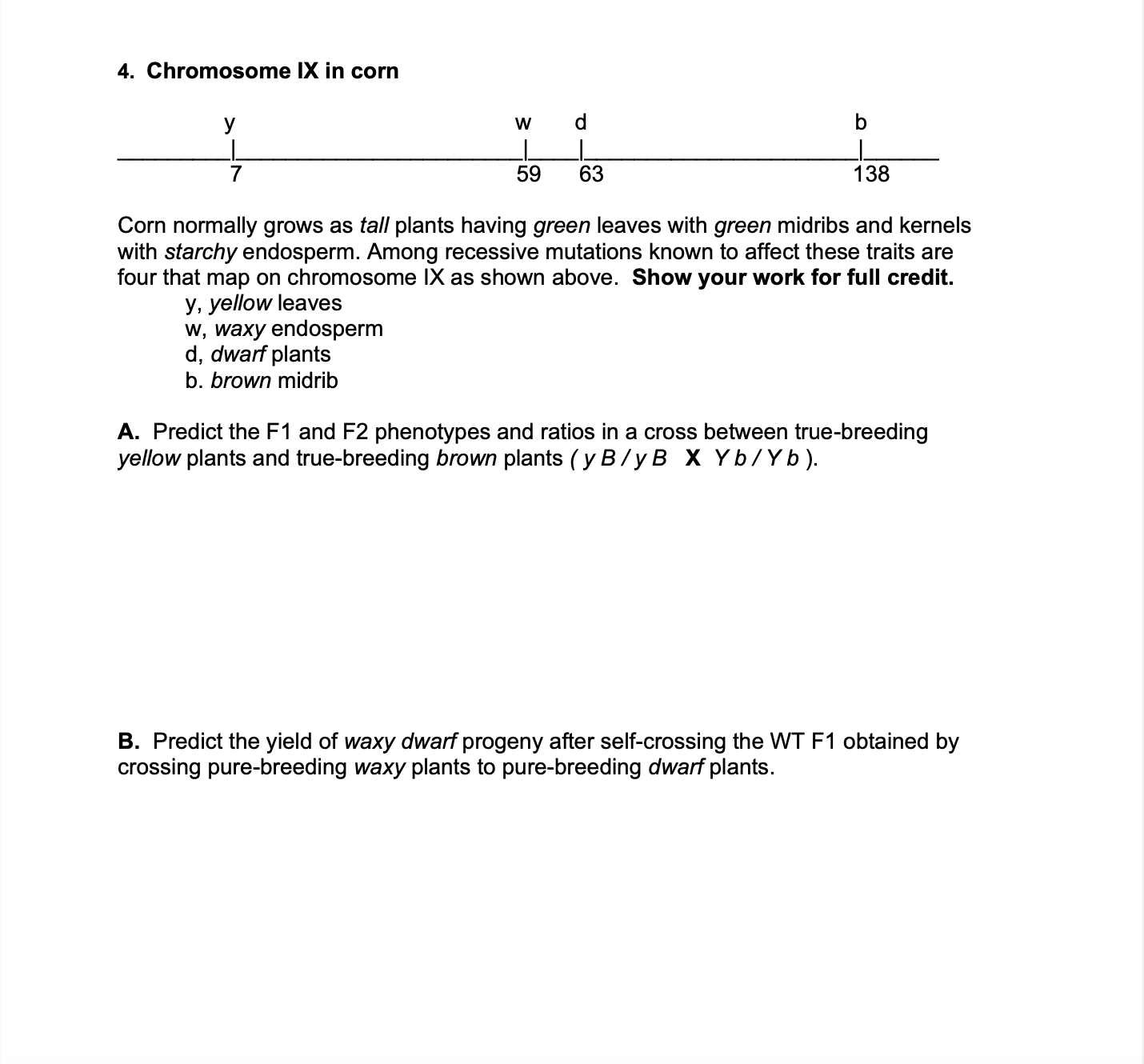 SOLVED 4. Chromosome IX in corn Corn normally grows as tall plants