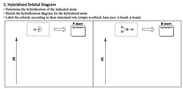 2. Hybridized Orbital Diagram • Determine the hybridization of the ...