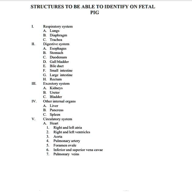 SOLVED Text Describe the primary functions for each of the structures