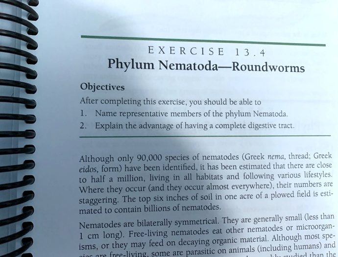 Phylum Nematoda—Roundworms

Objectives
After completing this exercise, you should be able to
1. Name representative members of the phylum Nematoda.
2. Explain the advantage of having a complete digestive tract.

Although only 90,000 species of nematodes (Greek nema, thread; Greek eidos, form) have been identified, it has been estimated that there are close to half a million, living in all habitats and following various lifestyles. Where they occur (and they occur almost everywhere), their numbers are staggering. The top six inches of soil in one acre of a plowed field is estimated to contain billions of nematodes.
Nematodes are bilaterally symmetrical. They are generally small (less than 1 cm long). Free-living nematodes eat other nematodes or microorganisms, or they may feed on decaying organic material. Although most species are free-living, some are parasitic on animals (including humans) and