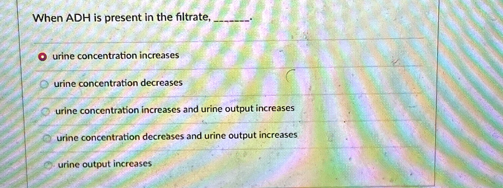 When ADH is present in the filtrate, 

urine concentration increases

urine concentration decreases

urine concentration increases and urine output increases

urine concentration decreases and urine output increases

urine output increases