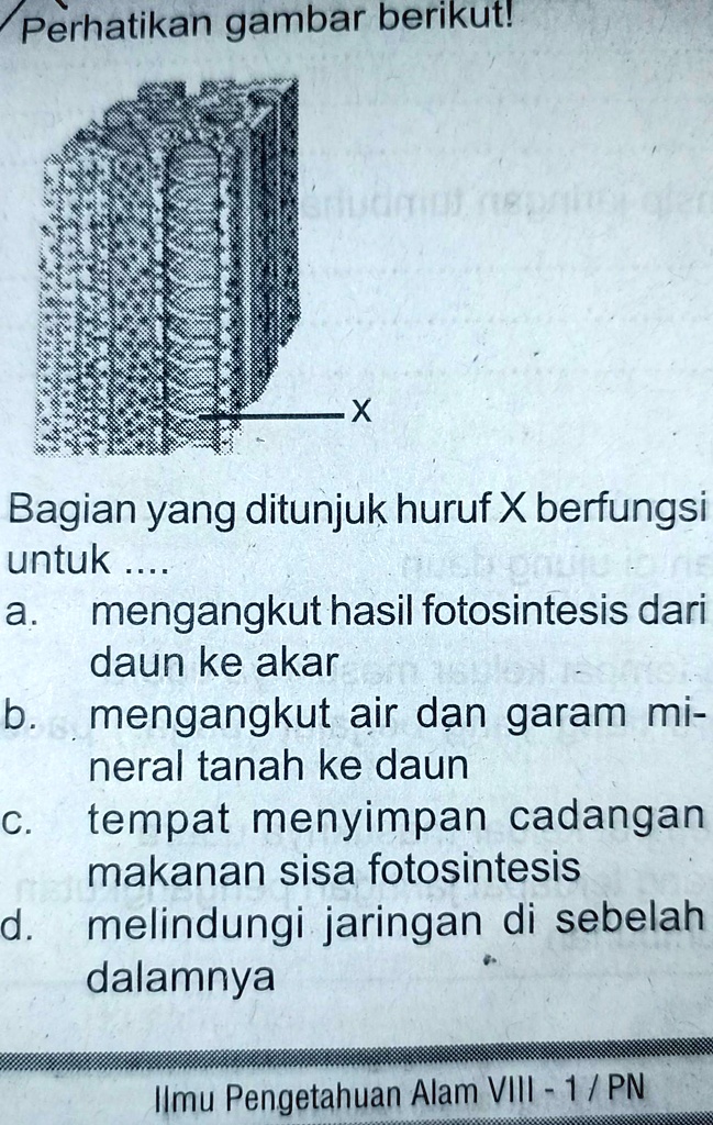 SOLVED: Bagian Yang Di Tunjuk Huruf X Berfungsi Untuk Perhatikan Gambar ...