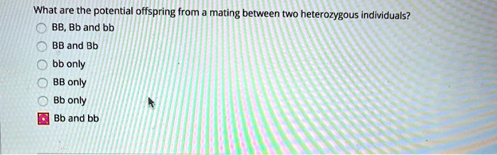What are the potential offspring from a mating between two heterozygous individuals?
BB, Bb and bb
BB and Bb
bb only
BB only
Bb only
Bb and bb
