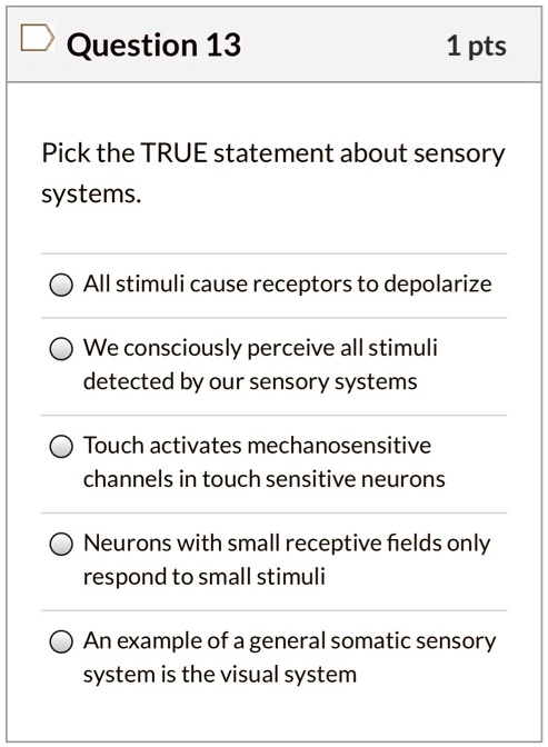 Pick the TRUE statement about sensory systems.
All stimuli cause receptors to depolarize
We consciously perceive all stimuli detected by our sensory systems
Touch activates mechanosensitive channels in touch sensitive neurons
Neurons with small receptive fields only respond to small stimuli
An example of a general somatic sensory system is the visual system