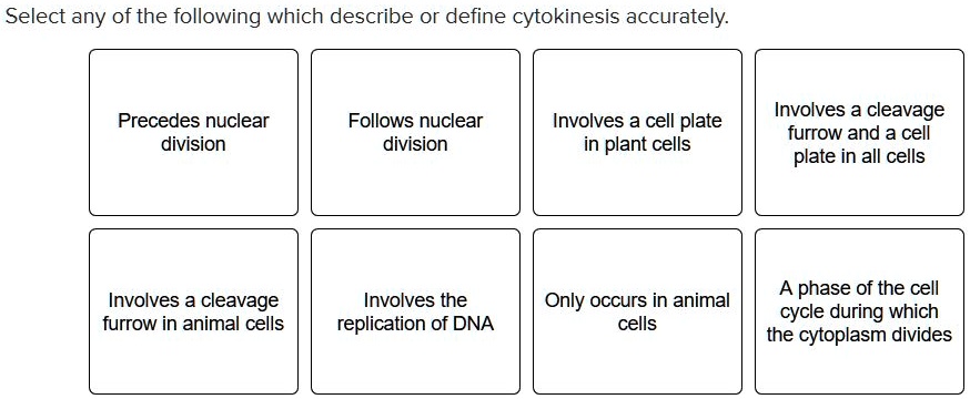 Select any of the following which describe or define cytokinesis accurately.
Precedes nuclear division
Follows nuclear division
Involves a cell plate in plant cells
Involves a cleavage furrow and a cell plate in all cells
Involves a cleavage furrow in animal cells
Involves the replication of DNA
Only occurs in animal cells
A phase of the cell cycle during which the cytoplasm divides