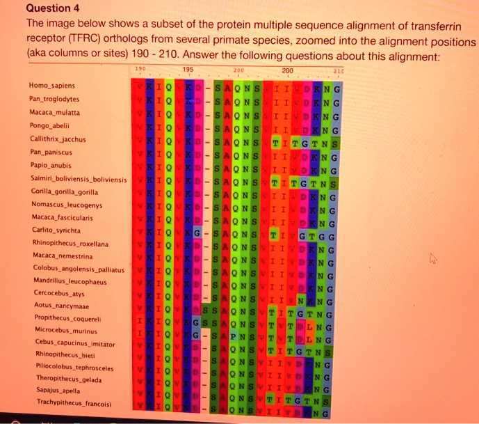 SOLVED Question 4 The Image Below Shows Subset Of The Protein Multiple Solved question 4 the image below shows subset of the protein multiple