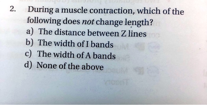 2.
During a muscle contraction, which of the
following does not change length?
a) The distance between Z lines
b) The width of I bands
c) The width of A bands
d) None of the above
