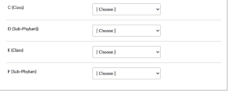 class choose d sub phylum choose class choose sub phylum choose 22287