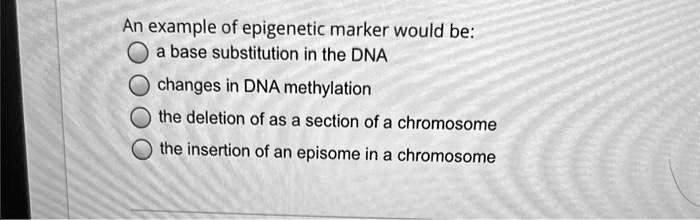 SOLVED: An example of epigenetic marker would be: a base substitution ...