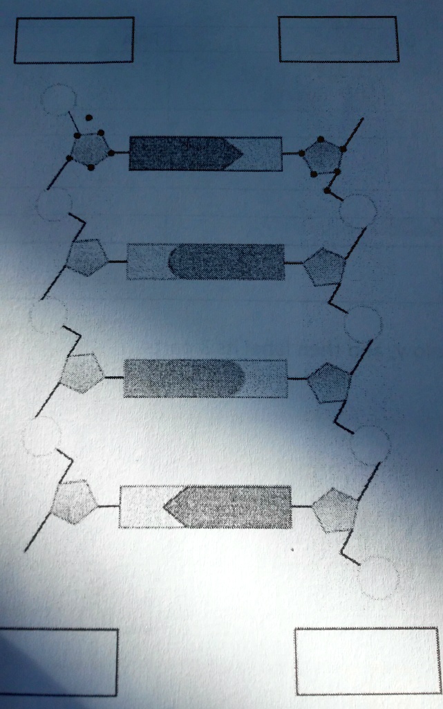 SOLVED: 'How to label the diagram