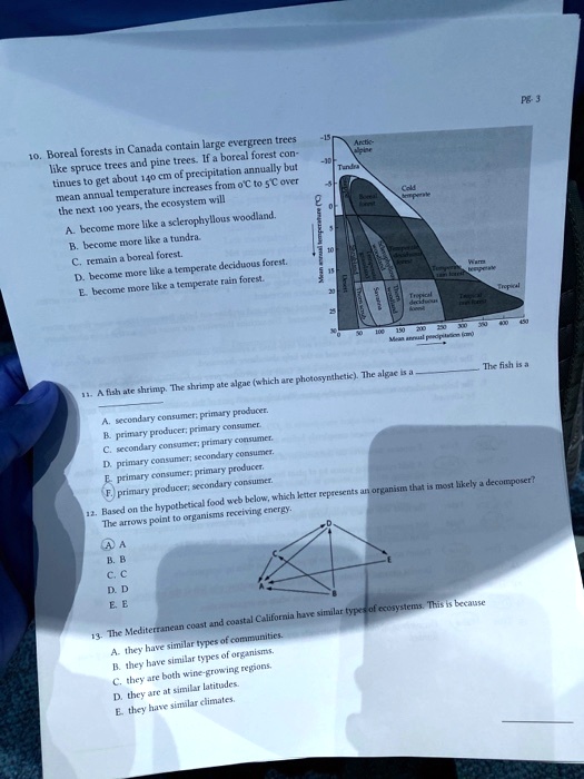 SOLVED Canuda contains large evergreen trees, boreal forests, conifer