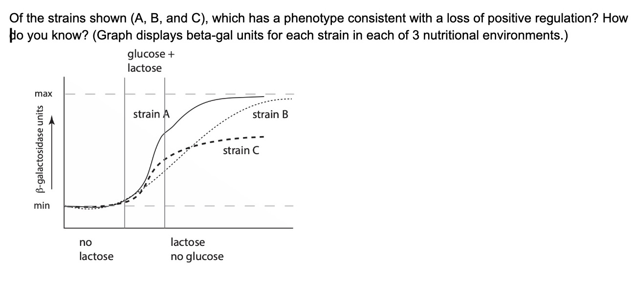 SOLVED: Of the strains shown (A, B, and C), which has a phenotype ...