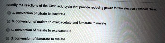Identify the reactions of the Citric acid cycle that provide reducing power for the electron transport chain.
a. conversion of citrate to isocitrate
b. conversion of malate to oxaloacetate and fumarate to malate
c. conversion of malate to oxaloacetate
d. conversion of fumarate to malate