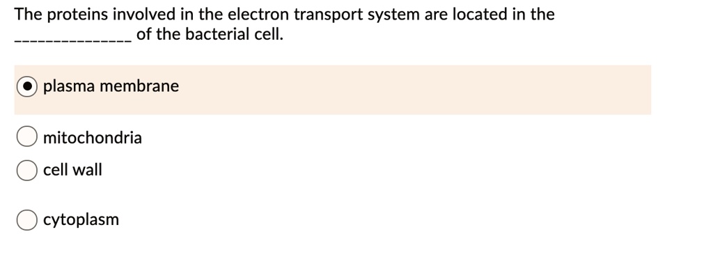 The proteins involved in the electron transport system are located in the  of the bacterial cell.
plasma membrane
mitochondria
cell wall
cytoplasm