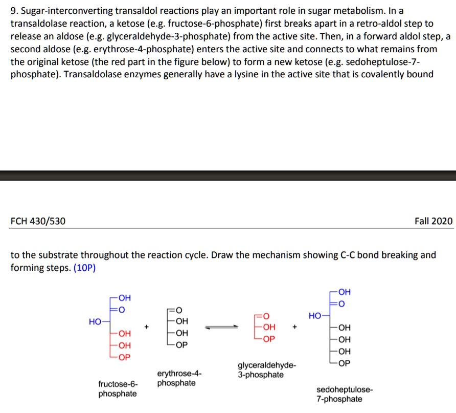 SOLVED:9. Sugar-interconverting transaldol reactions play an important ...