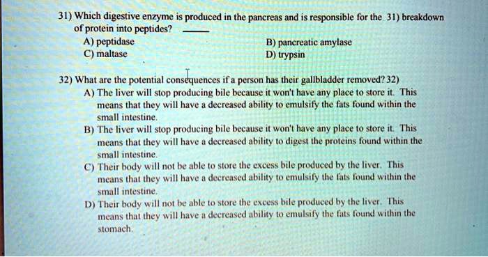 31) Which digestive enzyme is produced in the pancreas and is responsible for the breakdown of protein into peptides? 
A) peptidase B) pancreatic amylase
C) maltase D) trypsin
32) What are the potential consequences if a person has their gallbladder removed?
A) The liver will stop producing bile because it won't have any place to store it. This means that they will have a decreased ability to emulsify the fats found within the small intestine.
B) The liver will stop producing bile because it won't have any place to store it. This means that they will have a decreased ability to digest the proteins found within the small intestine.
C) Their body will not be able to store the excess bile produced by the liver. This means that they will have a decreased ability to emulsify the fats found within the small intestine.
D) Their body will not be able to store the excess bile produced by the liver. This means that they will have a decreased ability to emulsify the fats found within the stomach.