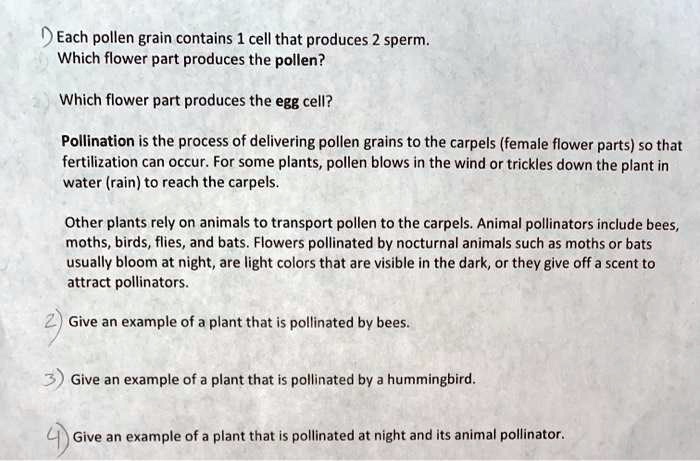 is the male part of the flower that produces pollen grains