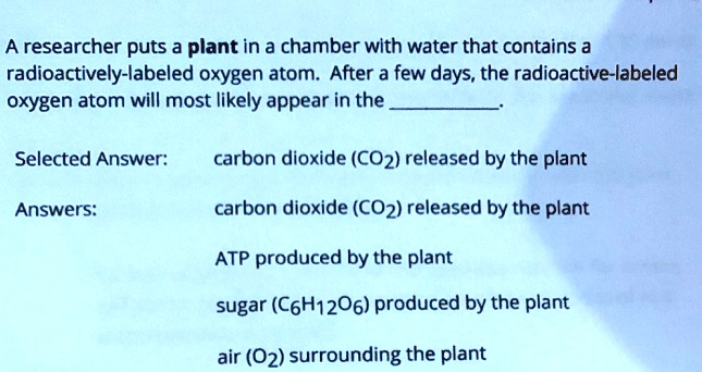 a researcher uses a radioactively labeled carbon dioxide