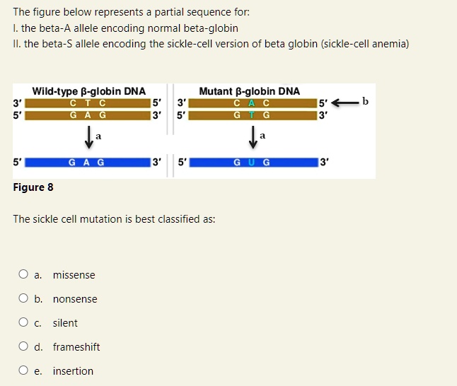 SOLVED The figure below represents a partial sequence for the betaA