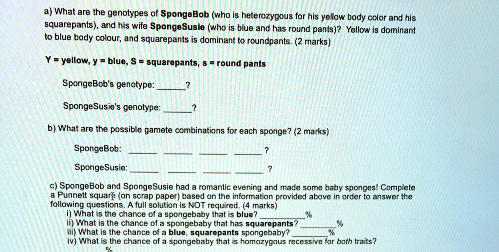 SOLVED a) What are the genotypes of SpongeBob (who is heterozygous for
