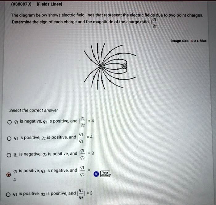 SOLVED: The Diagram Below Shows Electric Field Lines That Represent The ...