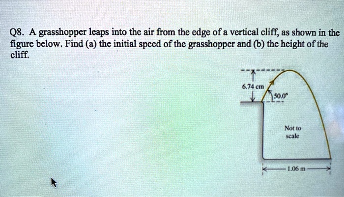 SOLVED: Q8. A grasshopper leaps into the air from the edge of a ...