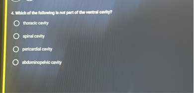 4. Which of the following is not part of the ventral cavity?

thoracic cavity

spinal cavity

pericardial cavity

abdominopelvic cavity