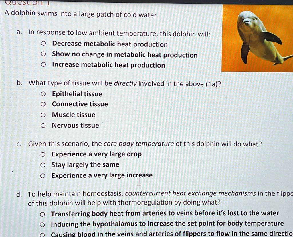 Question 1 A dolphin swims into a large patch of cold...