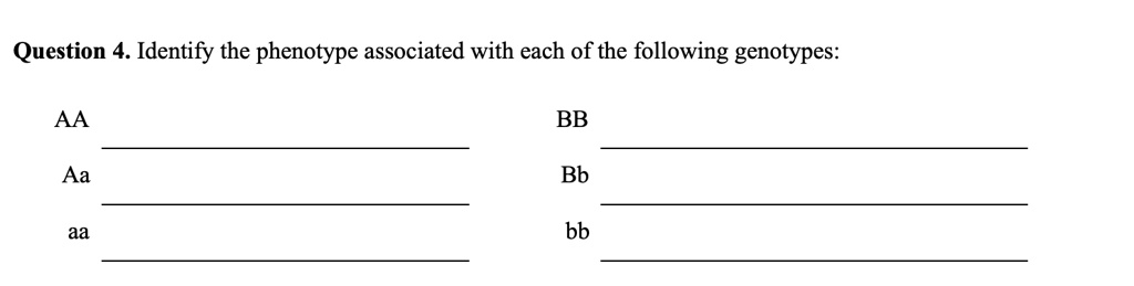 Question 4. Identify the phenotype associated with each of the following genotypes:
AA
Aa
aa
BB
Bb
bb