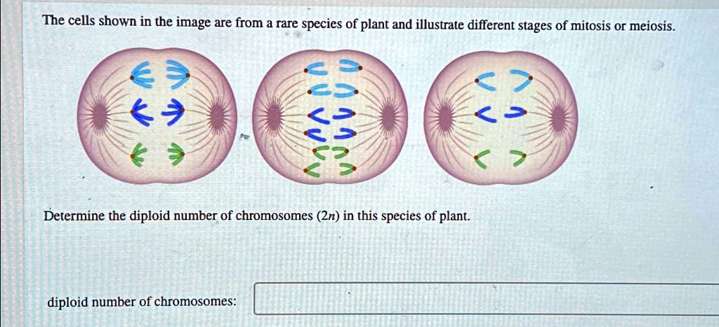 SOLVED: How to solve... The cells shown in the image are from a rare ...