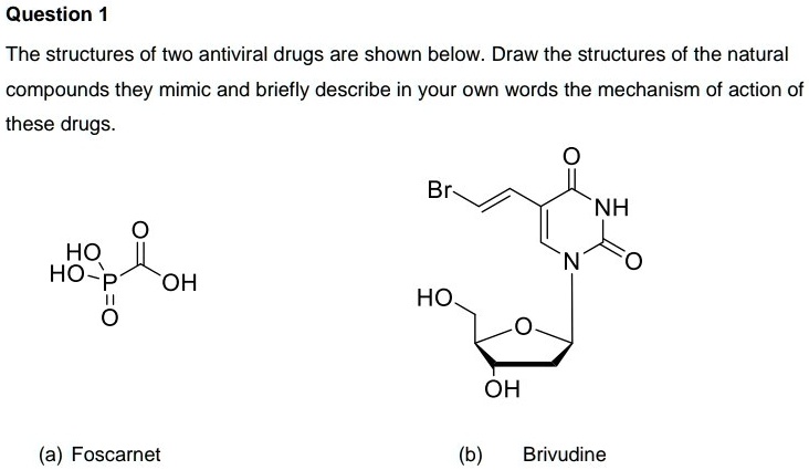 Solved Question The Structures Of Two Antiviral Drugs Are Shown Below Draw The Structures Of The Natural Compounds They Mimic And Briefly Describe In Your Own Words The Mechanism Of Action Of These