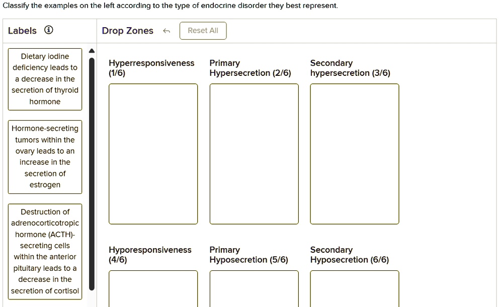 Endocrine Ros Examples classify the examples on the left according to the type of endocrine ...
