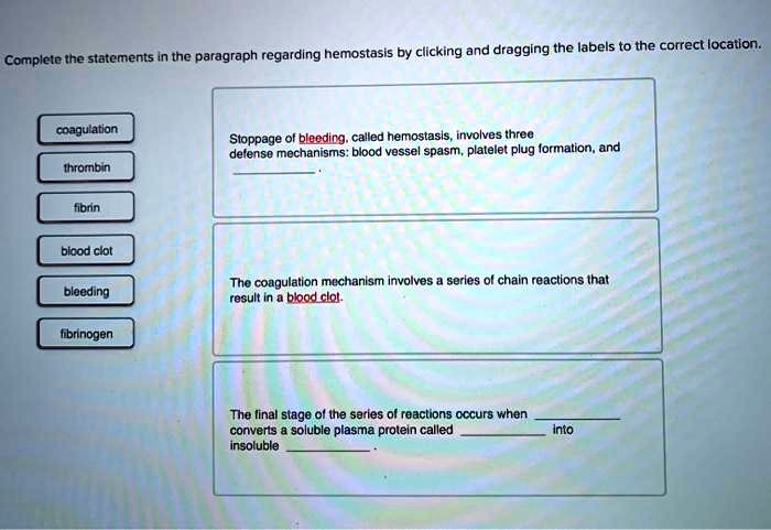 Which Of The Following Statements Regarding Plasma Is Correct SOLVED: Complete the statements in the paragraph regarding hemostasis
