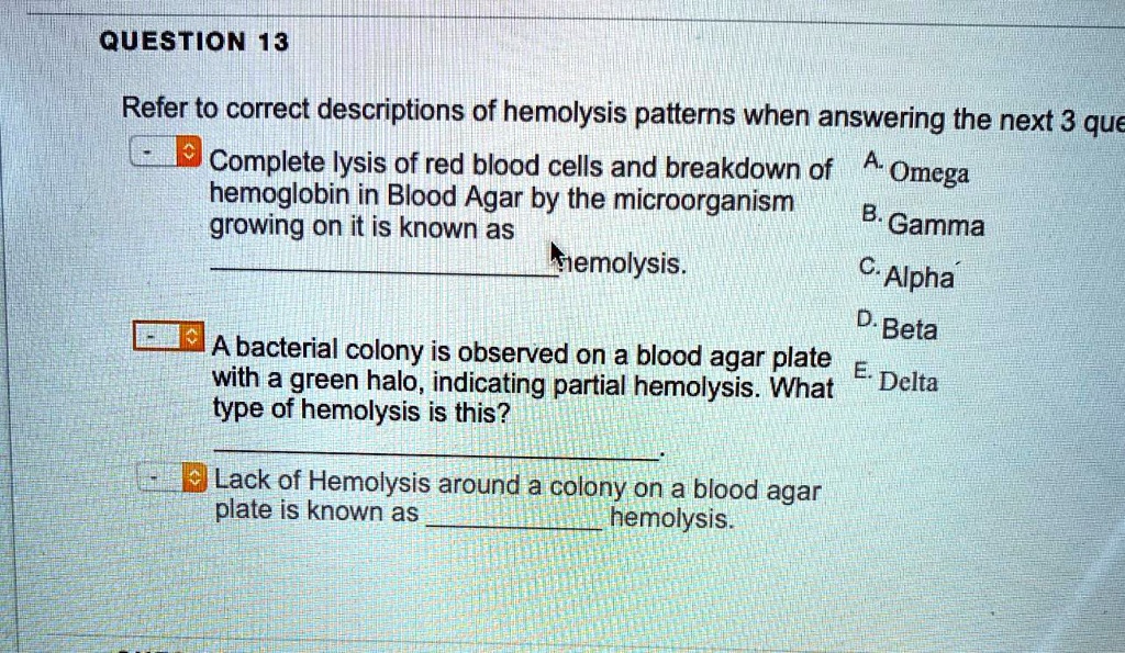 QUESTION 13
Refer to correct descriptions of hemolysis patterns when answering the next 3 que
Complete lysis of red blood cells and breakdown of hemoglobin in Blood Agar by the microorganism growing on it is known as
hemolysis.
A bacterial colony is observed on a blood agar plate with a green halo, indicating partial hemolysis. What type of hemolysis is this?
Lack of Hemolysis around a colony on a blood agar plate is known as hemolysis.
A. Omega
B. Gamma
C. Alpha
D. Beta
E. Delta
