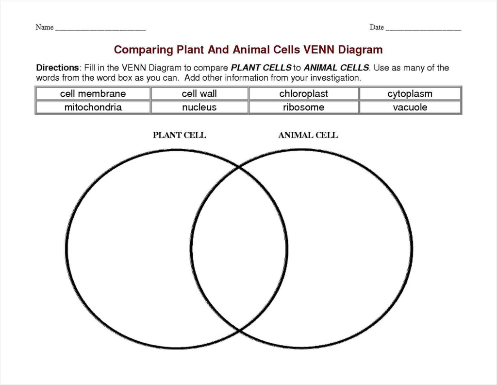 SOLVED: Help please. Thanks. Only answer if you know it please. Name Date  Comparing Plant and Animal Cells Venn Diagram Directions: Fill in the Venn  Diagram to compare PLANT CELLS to ANIMAL