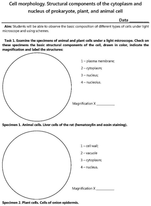 SOLVED: Cell morphology: Structural components of the cytoplasm and nucleus  of prokaryote plant; and animal cell Data Aim: Students will be able  observe the basic composition of d fferent types of cells