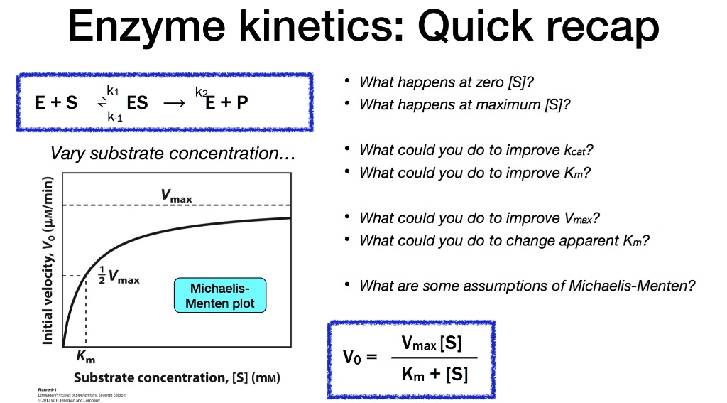 Solved Enzyme Kinetics Quick Recap What Happens At Zero S E 5 Es Kz P What Happens At Maximum S K1 Vary Substrate Concentration L Max 8 Vmax 1 Michaelis Menten