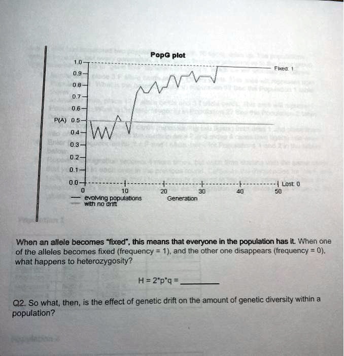 PopG plot
1.0 - - - - - - - - - - - - - - - - - - - - - - - - - - - - - - - - - - - - - - - - - - - - - - - - Fixed: 1
0.9 - |
0.8 - |
0.7 - |
0.6 - |
P(A) 0.5 - |
0.4 - |
0.3 - |
0.2 - |
0.1 - |
0.0 + - - - - - - - - - - - - - - - - - - - - - - - - - - - - - - - - - - - - - - - - - - - - - - - - Lost: 0
0 10 20 30 40 50
- evolving populations Generation
- with no drift

When an allele becomes "fixed", this means that everyone in the population has it. When one of the alleles becomes fixed (frequency = 1), and the other one disappears (frequency = 0), what happens to heterozygosity?

H = 2*p*q = 

Q2. So what, then, is the effect of genetic drift on the amount of genetic diversity within a population?