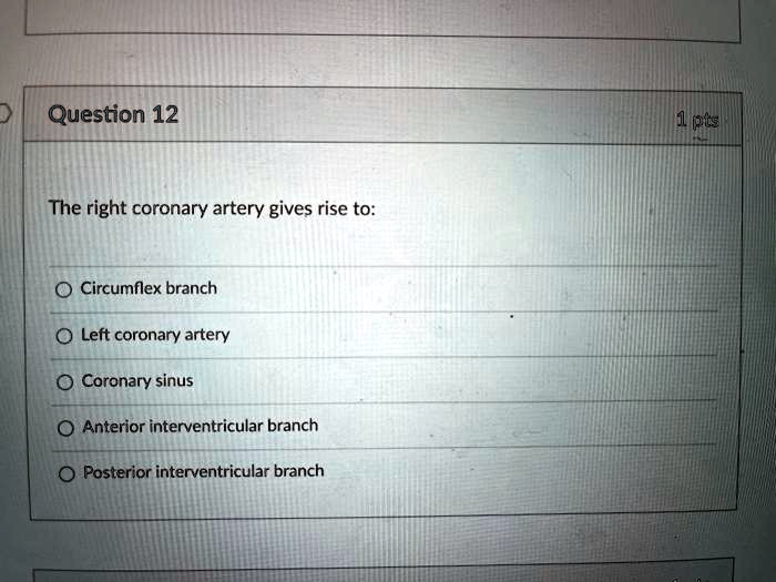 Question 12

The right coronary artery gives rise to:

Circumflex branch
Left coronary artery
Coronary sinus
Anterior interventricular branch
Posterior interventricular branch