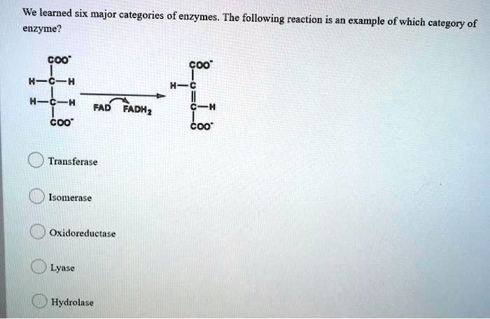 Solved We Learned Six Major Categories Of Enzymes The Following Reaction Is An Example Of