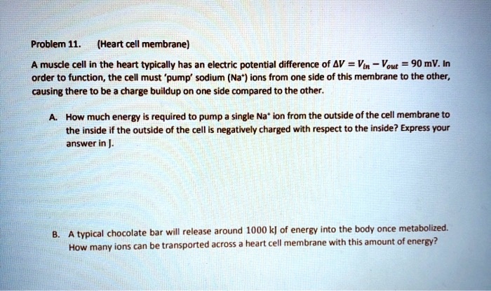 Problem 11. (Heart cell membrane)
A muscle cell in the heart typically has an electric potential difference of Δ V = Vin - Vout = 90 mV. In
order to function, the cell must 'pump' sodium (Na^+) ions from one side of this membrane to the other,
causing there to be a charge buildup on one side compared to the other.
A. How much energy is required to pump a single Na^+ ion from the outside of the cell membrane to
the inside if the outside of the cell is negatively charged with respect to the inside? Express your
answer in J.
B. A typical chocolate bar will release around 1000 kJ of energy into the body once metabolized.
How many ions can be transported across a heart cell membrane with this amount of energy?