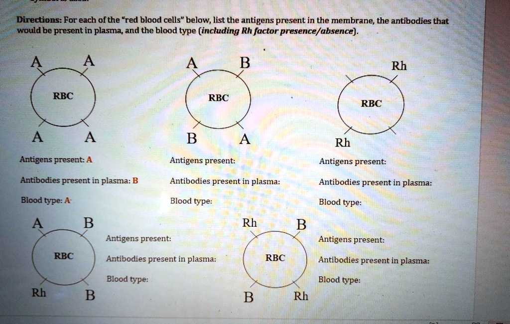 SOLVED Directions For each ofthe "red blood cells" below, list the