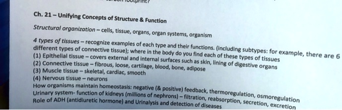 [GET ANSWER] ch 21 unifying conceptse structure function structural ...