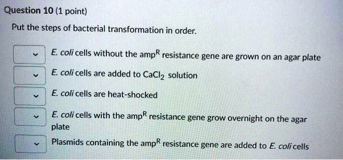 Question 10 1 point put the steps of bacterial...