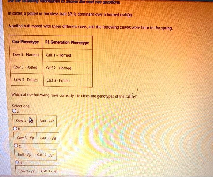 Use the following information to answer the next two questions.

In cattle, a polled or hornless trait (P) is dominant over a horned trait(p).

A polled bull mated with three different cows, and the following calves were born in the spring.

Cow Phenotype | F1 Generation Phenotype
Cow 1 - Horned | Calf 1 - Horned
Cow 2 - Polled | Calf 2 - Horned
Cow 3 - Polled | Calf 3 - Polled

Which of the following rows correctly identifies the genotypes of the cattle?

Select one:
a. Cow 1 - pp | Bull - PP
b. Cow 3 - Pp | Calf 3 - pp
c. Bull - Pp | Calf 2 - pp
d. Cow 2 - pp | Calf 1 - Pp