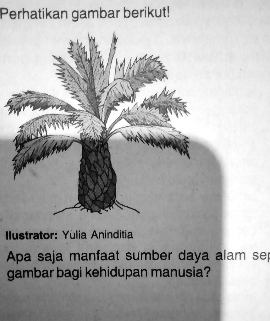 Solved Apa Saja Manfaat Sumber Daya Alam Seperti Gambr Bagi Kehidupan