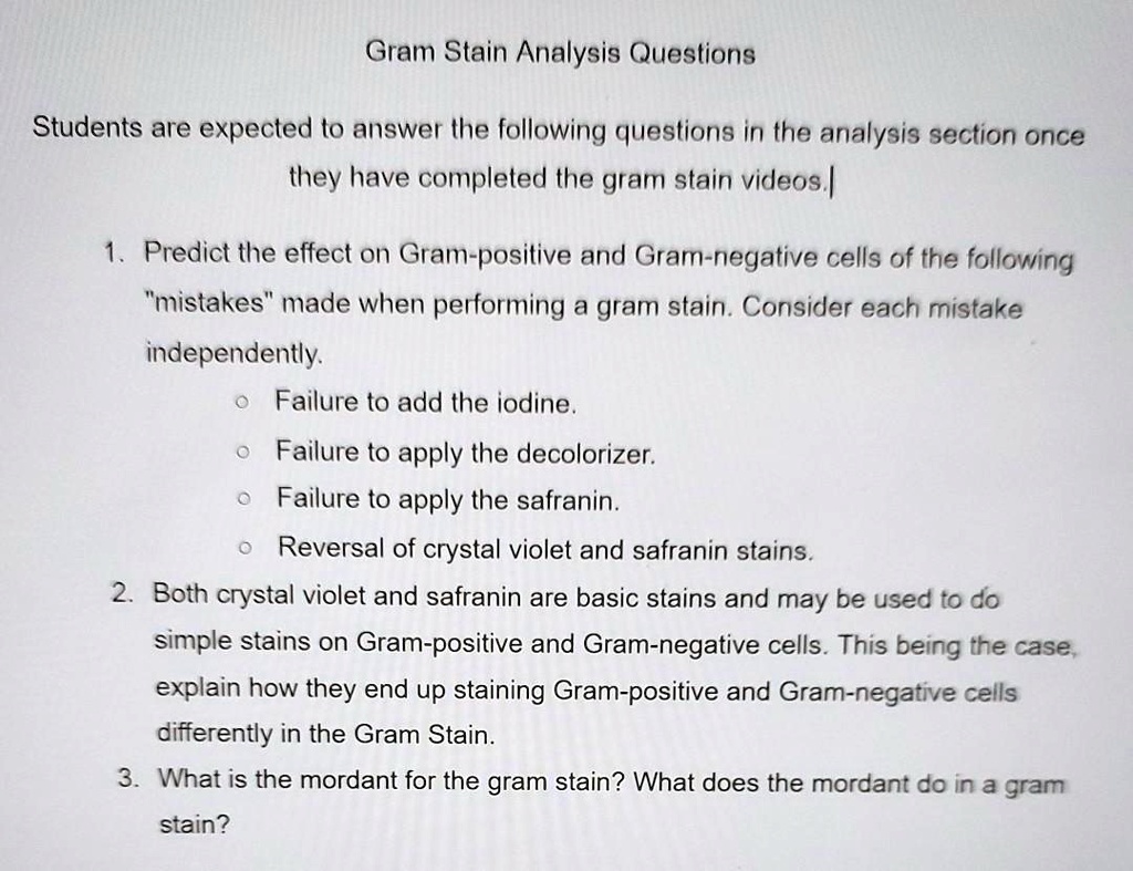 gram stain analysis questions students are expected t0 answer ihe following questions in the aralysis section once they have completed the gram stain videos predict the effect on gram positi 88864
